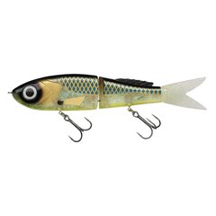 Abu Garcia Beast Glidebait 15cm 34gr Funky Fish - Leverbaar