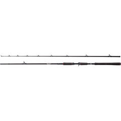 Abu Garcia Beast Casting Rod