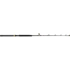 Penn Squall II Trolling Casting Rod