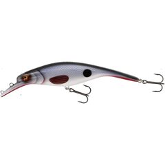 Westin Platypus Crankbait Sinking 19cm 94gr Stamped Roach - Op voorraad
