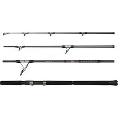Penn Ally II Offshore Casting