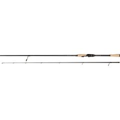 Abu Garcia RockSweeper Spin