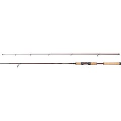 Abu Garcia Tormentor 2 Spin