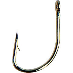 Albatros Specimen Voorn