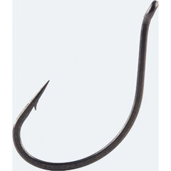 BKK DSS-WORM