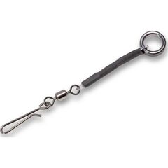 Black Cat Breaking Line