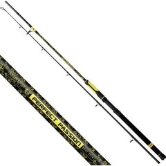 Black Cat Perfect Passion