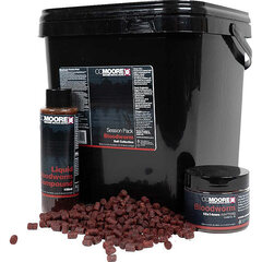 CC Moore Bloodworm