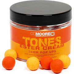 CC Moore Ester Cream Tones