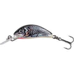 Salmo Hornet 2.5cm Sinking Holographic Grey Shiner - Leverbaar
