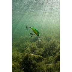 Salmo Hornet 2.5cm Sinking Real Dace - Leverbaar