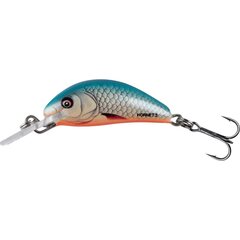 Salmo Hornet 3,5cm Floating Dace Blue - Leverbaar