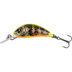 Salmo Hornet 3,5cm Floating Gold Fluo Perch - Leverbaar