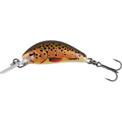 Salmo Hornet 3,5cm Sinking Trout - Leverbaar
