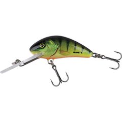 Salmo Hornet