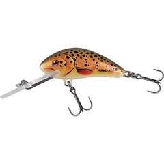 Salmo Hornet