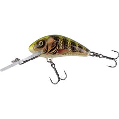 Salmo Hornet