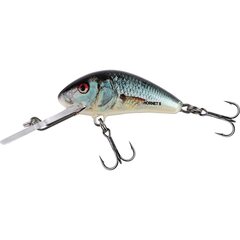 Salmo Hornet