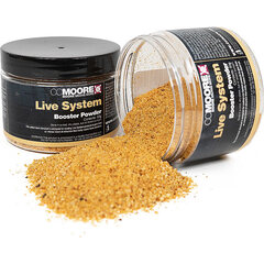CC Moore Live System