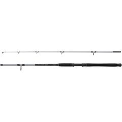 Mitchell Tanager Sw Boat Rod