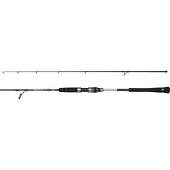 Penn Prevail III Jigging