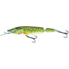 Salmo Pike Jointed