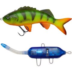 PulzBait Starter Kit 15cm - Firetiger - Op voorraad