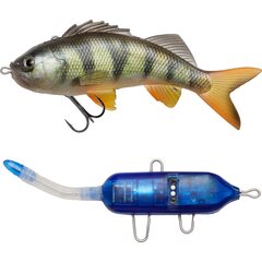PulzBait Starter Kit 15cm - Natural Perch - Op voorraad
