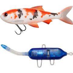 PulzBait Starter Kit 15cm - Koi Carp - Op voorraad