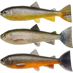 PulzBait
