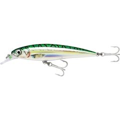 Rapala X-Rap Saltwater 12cm 22gr GM - Op voorraad
