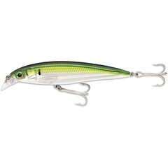 Rapala X-Rap Saltwater 12cm 22gr PLD - Op voorraad