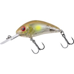 Salmo Rattlin Hornet 5,5cm Floating Clear Ayu - Leverbaar