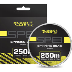 Black Cat SP8-Braid