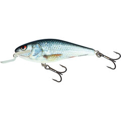 Salmo Executor Shallow Runner 12cm 33gr Real Dace - Op voorraad