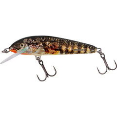 Salmo Minnow Floating 5cm 5gr Holo Stickleback - Op voorraad