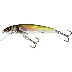 Salmo Minnow Floating 6cm 4gr Holo Bleak - Leverbaar