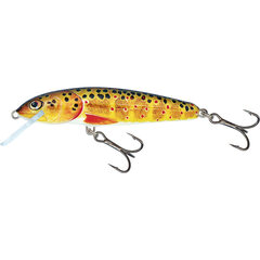 Salmo Minnow Floating 6cm 4gr Trout - Leverbaar