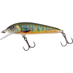 Salmo Minnow