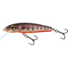 Salmo Minnow