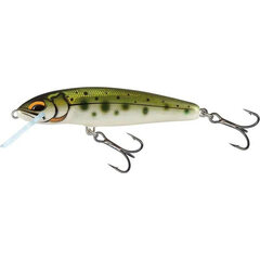 Salmo Minnow