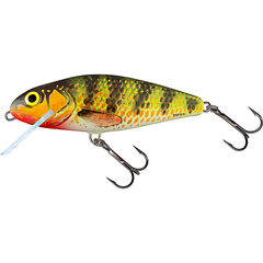 Salmo Perch
