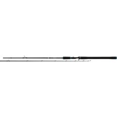 Salmo Trollmaster 2.40m 40-60gr