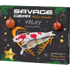 Savage Gear Advent Calendar 4Play