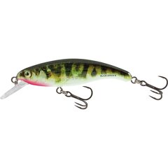 Salmo Slick Stick Floating 6cm 3gr Holographic Stickleback - Op voorraad