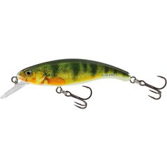 Salmo Slick Stick