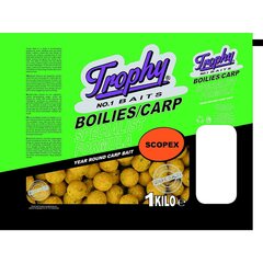 Trophy Bait Boilies