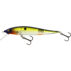 Westin Jerkbite SR Jerkbait Suspending 9cm 8gr Hot Shad - Op voorraad