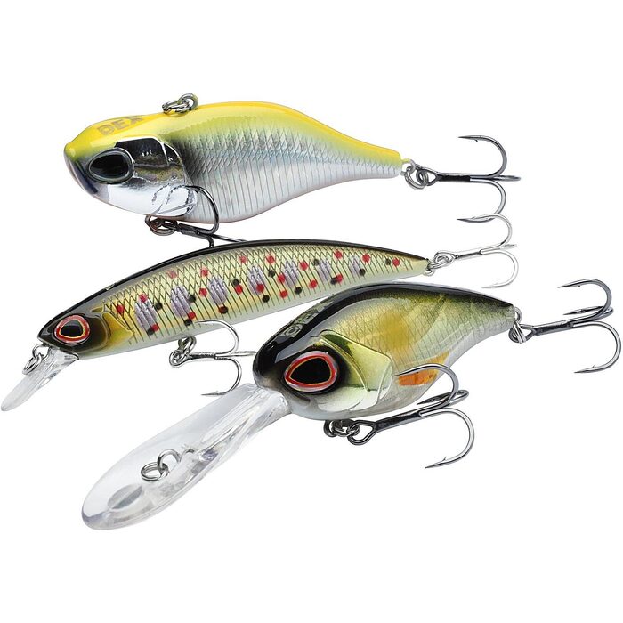 Berkley DEX Gift Box