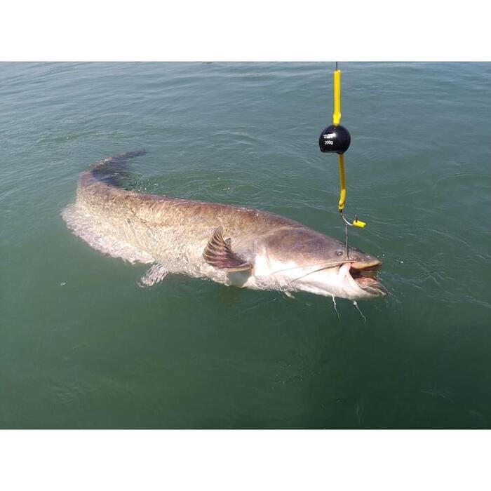 Black Cat Cat Ball 120gr Black